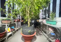 Bán nhà 4 tầng 33.1m2 tại Phường Thông Tây Hội, giá 5 tỷ... Bán nhà riêng tại Thông Tây Hội, Hồ Chí Minh 10