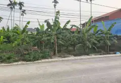 Đất Kinh Doanh Vàng Tại Phường Lưu Kiếm - Cơ Hội Đầu Tư Vàng... Bán đất tại Lưu Kiếm, Hải Phòng 10