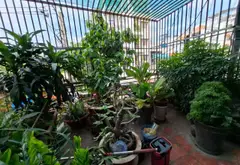 Bán nhà mặt tiền đường Đoàn Giỏi ngay AEON Tân Phú diện tích 70 m2... Bán nhà mặt phố tại Tân Sơn Nhì, Hồ Chí Minh 03