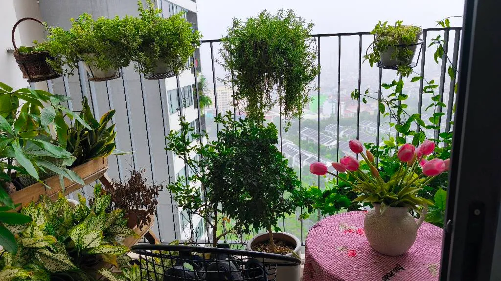 Bán căn hộ căn góc 108m2 tại phường Dương Nội, Hà Nội... Bán căn hộ chung cư tại Dương Nội, Hà Nội 01