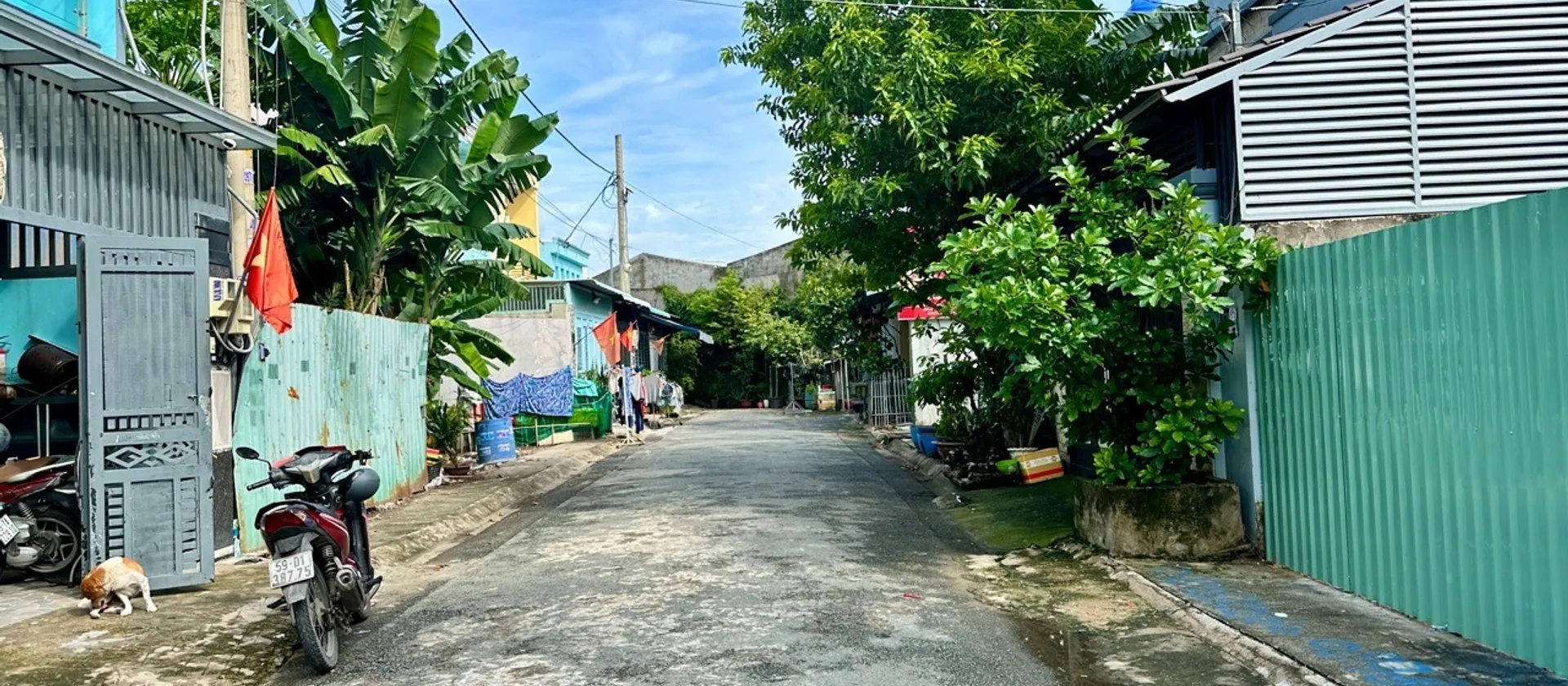 Bán đất 92,7m² đường nhựa, Thới Tam Thôn, Hocs Môn, 3.x tỷ... Bán đất tại Đông Thạnh, Hồ Chí Minh 01