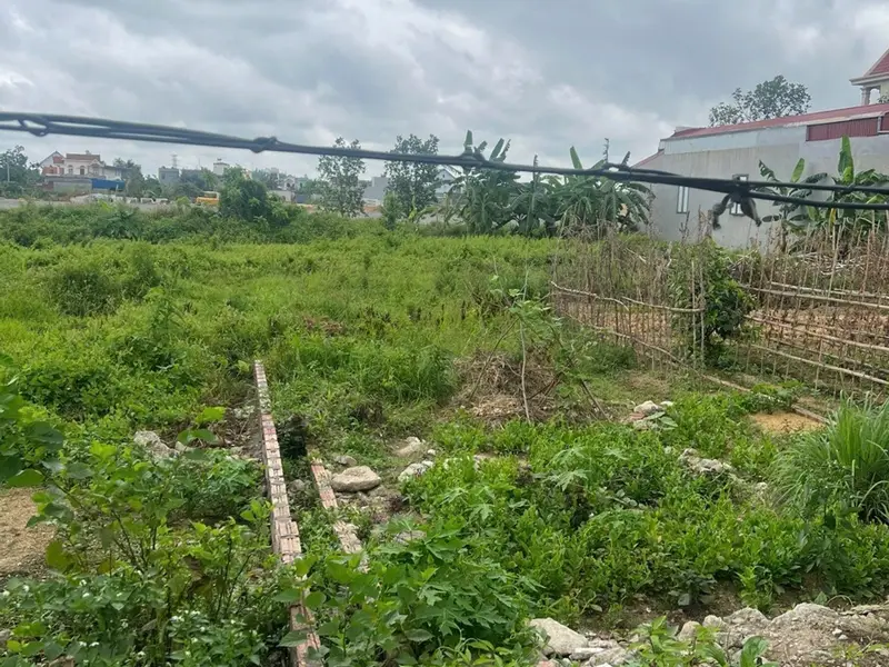 Cơ Hội Vàng Sở Hữu Đất Đẹp Tại Xã Kiến Thụy, Hải Phòng, Giá Đầu Tư Hấp Dẫn... Bán đất tại Kiến Thụy, Hải Phòng 01