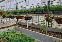 Cơ hội sở hữu nhà liền kề kinh doanh đắc địa tại Văn Quán, giá tốt hiếm có... Bán biệt thự, liền kề tại Thanh Liệt, Hà Nội 05