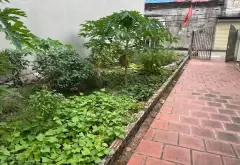 Lô Góc Mặt Phố Kinh Doanh Tại Thôn Gia Trung 1 – Cơ Hội Vàng Cho Nhà Đầu Tư... Bán đất tại Quang Minh, Hà Nội 03