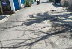 Bán nhà tiền tỉnh lộ 8, xã Tân Thạnh Đông, diện tích 1045m2, 3 căn dãy trọ thu nhập45 triệu ổn định... Bán nhà riêng tại Phú Hòa Đông, Hồ Chí Minh 13