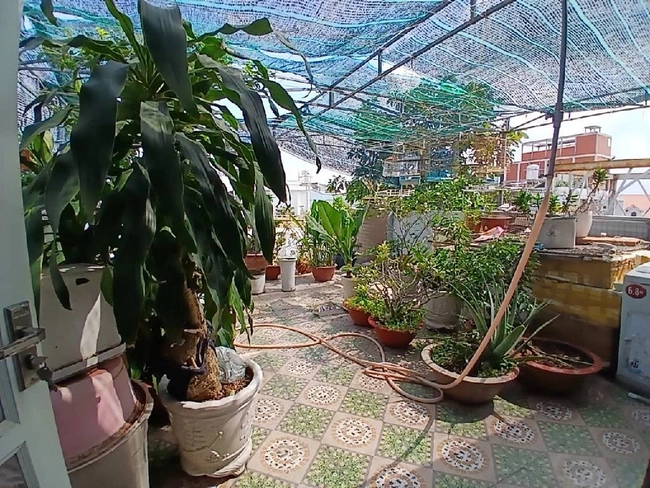 Bán nhà 4 tầng đường Trần Thị Điệu, phường Phước Long B, Quận 9, TPHCM, 97m2, nhỉnh 7 tỷ tại Hồ Chí Minh 04