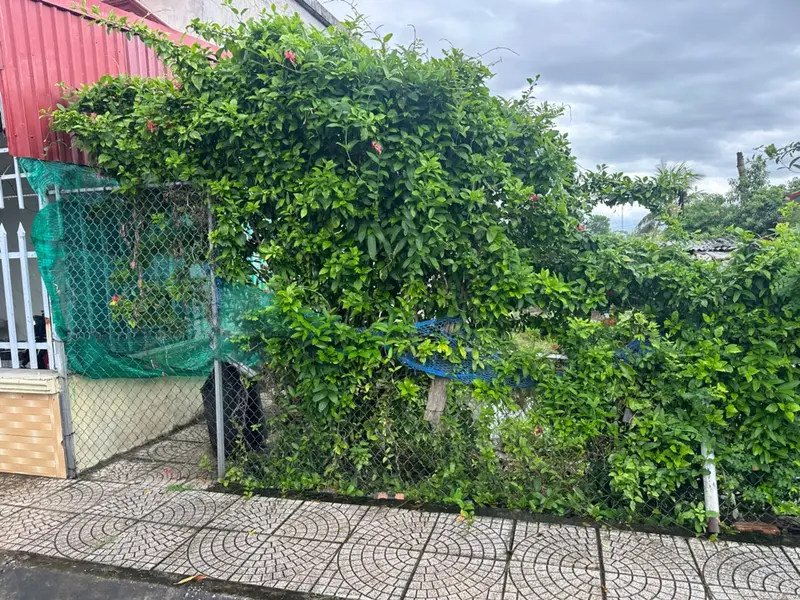 Chạm là mê đất mặt tiền ô tô ngay Dương Kinh... Bán đất tại Dương Kinh, Hải Phòng 01