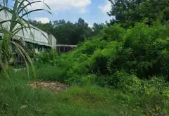 Cơ hội sở hữu nhà vườn rộng 615m² tại xã Củ Chi, không gian riêng tư hiếm có... Bán đất tại Củ Chi, Hồ Chí Minh 06
