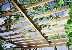 Bán nhà mặt phố 49.3m2, 3 tầng, hướng Đông Nam, giá 10.8 tỷ... Bán nhà mặt phố tại Tân Sơn Nhất, Hồ Chí Minh 13