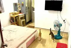 Nhà 2 tầng 38m2 tại Phường Phú Thọ Hòa, Hồ Chí Minh... Bán nhà riêng tại Phú Thọ Hòa, Hồ Chí Minh 06