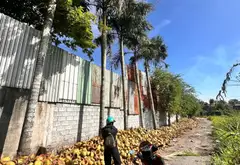 Bán đất mặt tiền rộng 30m tại xã Nguyễn Văn Bứa, lô đất lớn full thổ cư có tòa nhà 3 tầng... Bán đất tại Bà Điểm, Hồ Chí Minh 05