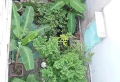 Siêu phẩm nhà mặt phố Bình Tân diện tích lớn giá hấp dẫn... Bán nhà mặt phố tại Bình Trị Đông, Hồ Chí Minh 10