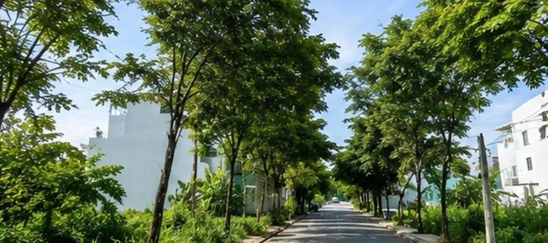 Mua Bán đất gần Chợ Long Trường, đường trước nhà 5m, pháp lý rõ ràng, 56,5m² hướng Tây Nam... Bán đất tại Long Phước, Hồ Chí Minh 01