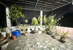 Nhà lô góc ô tô vào tận nơi hiếm có tại xã Gia Lâm Hà Nội... Bán nhà riêng tại Gia Lâm, Hà Nội 08