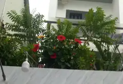 Bán nhà mặt phố Tân Bình 6 tầng, diện tích 100.5m², mặt tiền 3.5m... Bán nhà mặt phố tại Tân Sơn Nhất, Hồ Chí Minh 19