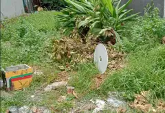 Bán đất 5x30m full thổ cư, đường nhựa thông Xuân Thới Thượng, Hóc Môn, 4.x tỷ... Bán đất tại Bà Điểm, Hồ Chí Minh 01