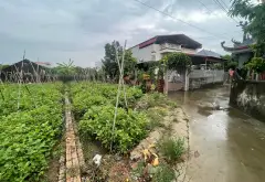 THỬA 671 THÔN ĐÔNG TẢO NAM, HOÀN LONG, KHOÁI CHÂU - OTO... Bán đất tại Hoàn Long, Hưng Yên 10