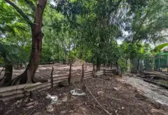 Nhà mặt phố Linh Xuân, Dĩ An, diện tích 2000m2, giá 112 tỷ đồng... Bán nhà mặt phố tại Linh Xuân, Hồ Chí Minh 04