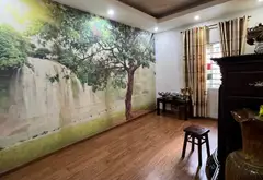 Nhà mặt phố kinh doanh đỉnh ngay ngã ba Lê Trung Nghĩa... Bán nhà mặt phố tại Bảy Hiền, Hồ Chí Minh 06