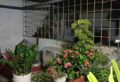 Nhà 3,5 tầng siêu thoáng, khu ngõ vip Trần Nguyên Hãn đáng sở hữu ngay... Bán nhà riêng tại An Biên, Hải Phòng 07
