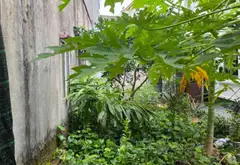 Đất Đẹp Kiêu Kỵ: Cơ Hội Vàng Cạnh Hồ, Đáng Sở Hữu Ngay!... Bán đất tại Gia Lâm, Hà Nội 04