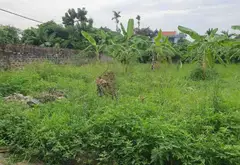 Đất đẹp tại phường Lưu Kiếm, TP Thủy Nguyên, diện tích phù hợp xây dựng... Bán đất tại Lưu Kiếm, Hải Phòng 14