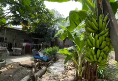 Bán nhà riêng 1 tầng rộng 181m2 tại xã Lê Minh Xuân Bình Chánh... Bán nhà riêng tại Bình Lợi, Hồ Chí Minh 03