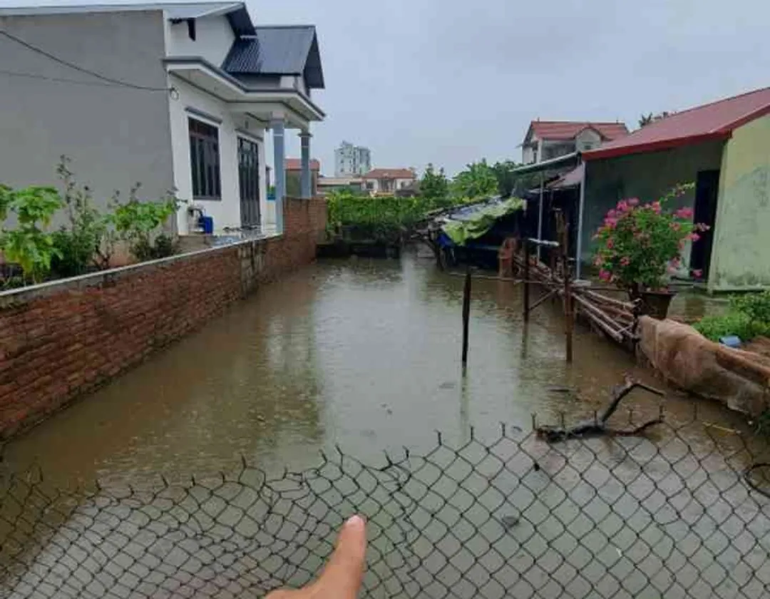 Thửa đất số 411, tờ bản đồ số 35, thôn CD Quán Trạch, Liên Nghĩa, Văn Giang, Hưng Yên... Bán đất tại Văn Giang, Hưng Yên 01
