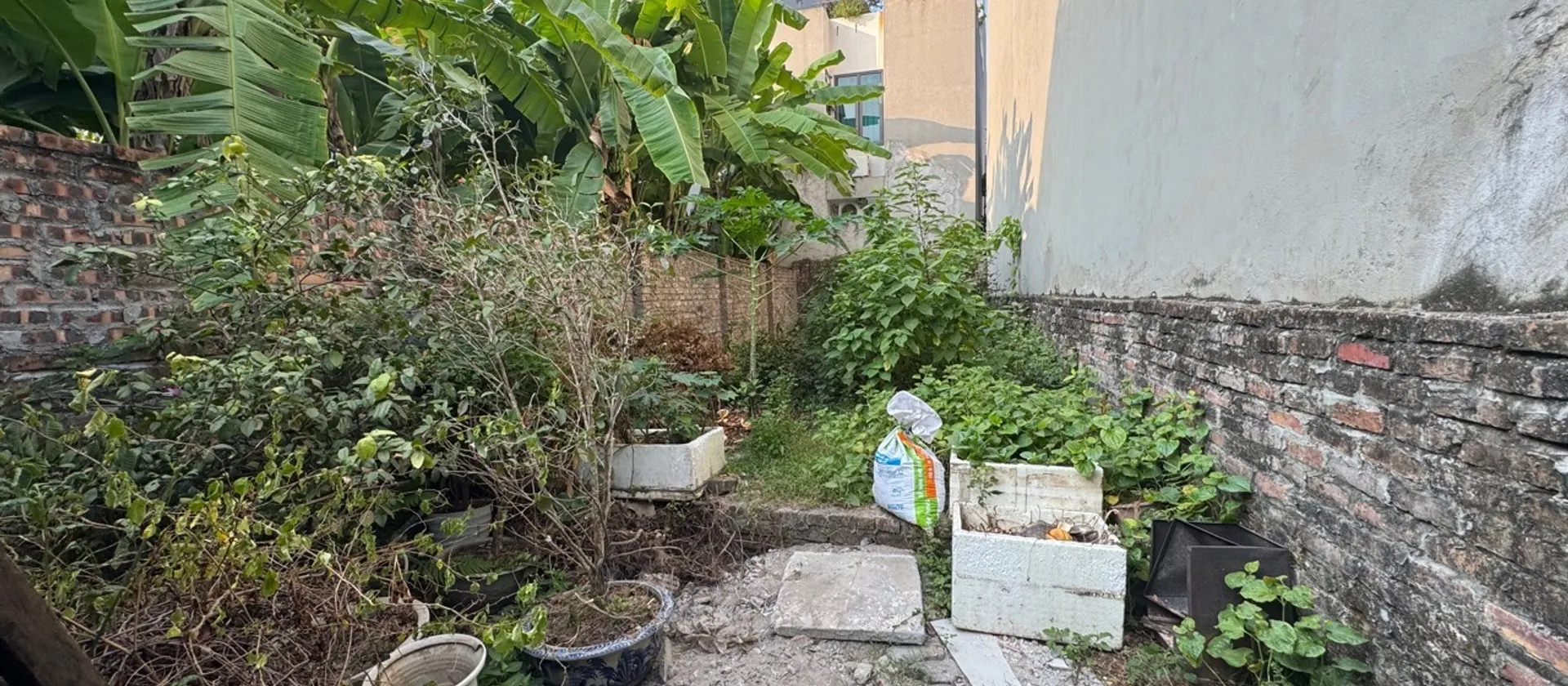 BÁN ĐẤT KIM NỖ, ĐÔNG ANH – 70,1M², GẦN CHỢ, Ô TÔ GẦN – HƠN 4 TỶ... Bán đất tại Thiên Lộc, Hà Nội 01