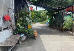 Bán nhà 2 tầng 3 phòng ngủ, diện tích 80m2, phường Phú Hữu, Quận 9... Bán nhà riêng tại Long Trường, Hồ Chí Minh 15