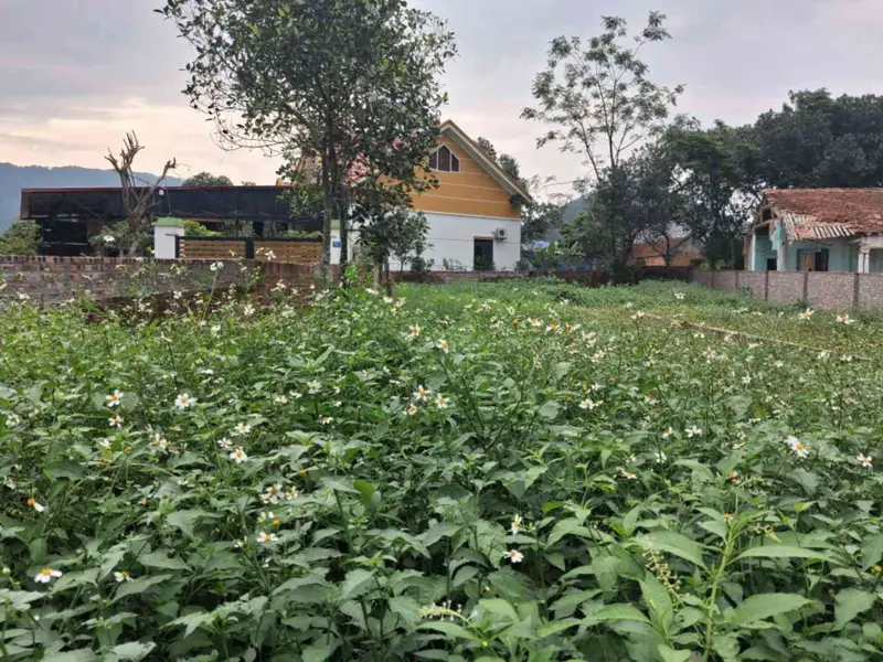Đất đẹp Thanh Hà, ô tô vào tận nơi, giá đầu tư siêu hấp dẫn... Bán đất tại Trung Giã, Hà Nội 01