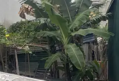 Bán đất phân lô thôn Đìa, Nam Hồng, Đông Anh, mặt tiền 4.5m, ô tô tránh, phù hợp kinh doanh... Bán đất tại Phúc Thịnh, Hà Nội 02