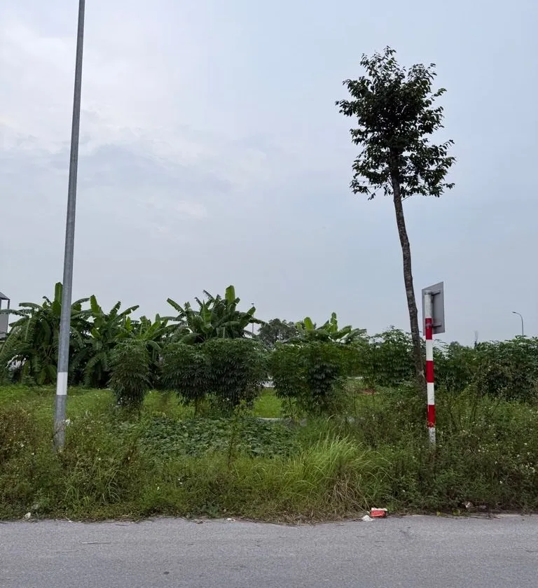 Bán đất 100m2 mặt tiền 5m xã Đại Đồng Bắc Ninh pháp lý rõ ràng... Bán đất tại Đại Đồng, Bắc Ninh 01