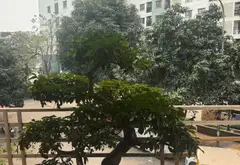 Bán nhà mặt phố lô góc khu đấu giá, 5 tầng, kinh doanh tốt... Bán nhà mặt phố tại Kiến Hưng, Hà Nội 10