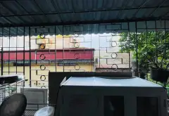 Bán căn hộ tập thể C2 Vũ Ngọc Phan, trung tâm, 2 phòng ngủ... Bán căn hộ chung cư tại Đống Đa, Hà Nội 06