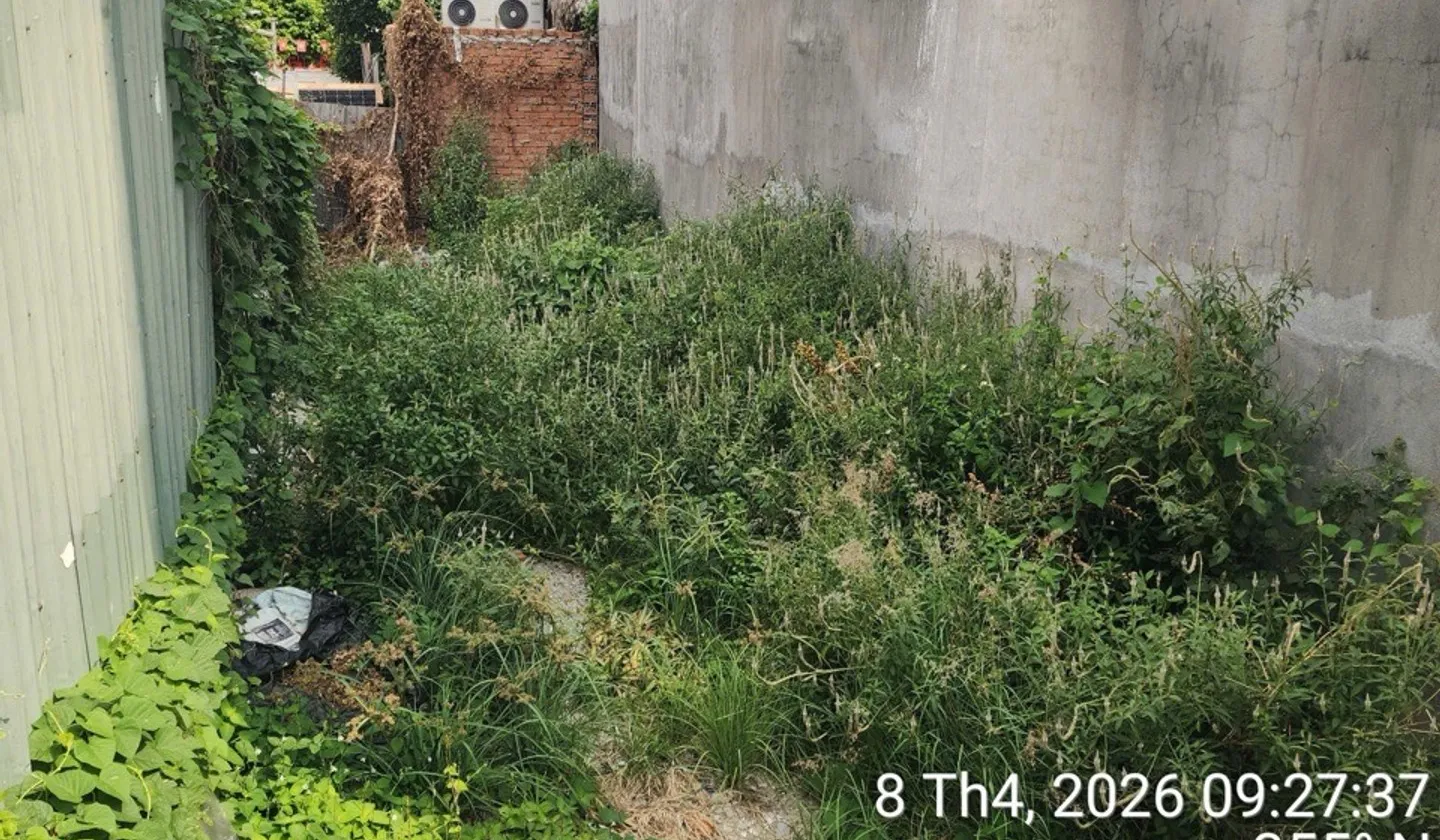 🔥 ĐẤT MT KÊNH – TX21, Q12, TP HCM– 100M² THỔ CƯ – GIÁ CHỈ 4,05 TỶ 🔥... Bán đất tại Thới An, Hồ Chí Minh 01