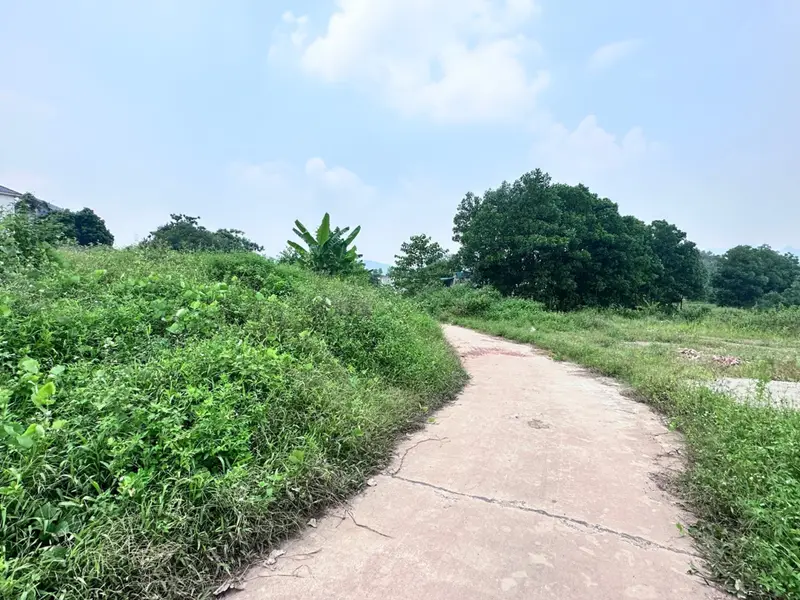 Bán đất diện tích 100.1 m² tại xã Trung Giã, Hà Nội, đất phân lô, ô tô đi vòng quanh... Bán đất tại Trung Giã, Hà Nội 01
