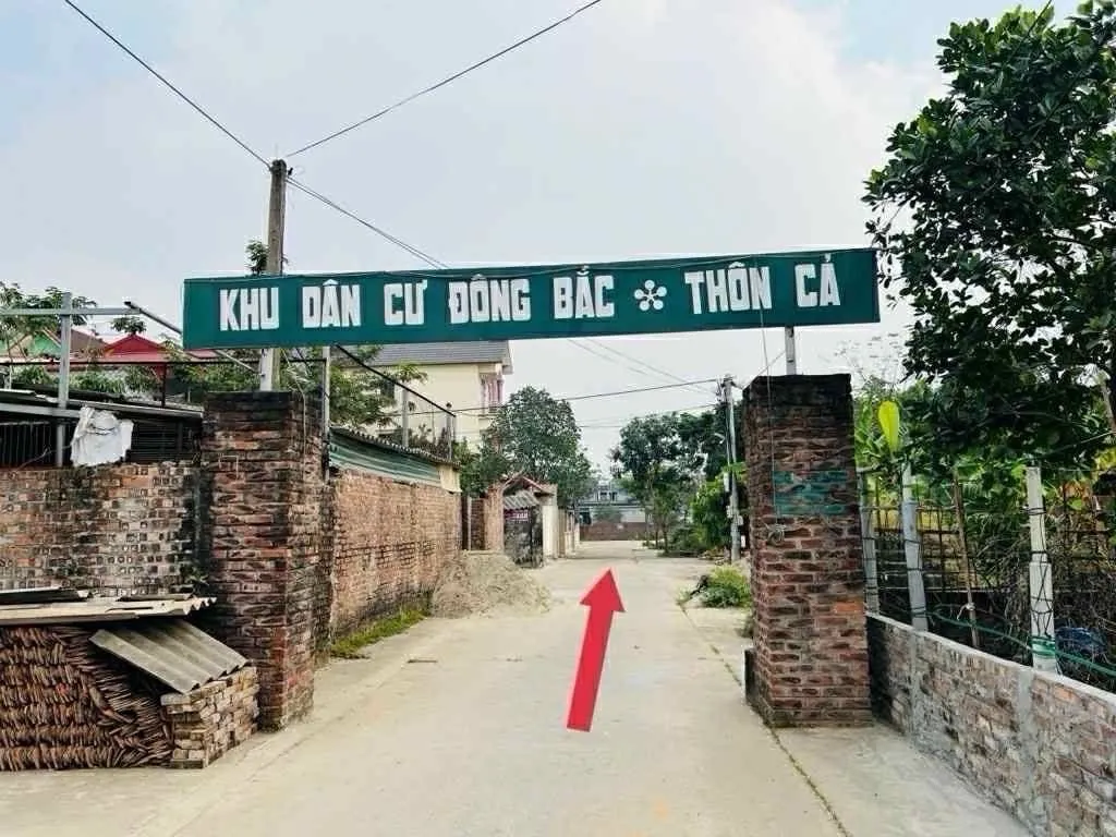 Đất Đẹp Đông Anh - Đầu Tư Sinh Lời Cao, Sổ Chuẩn Giao Ngay... Bán đất tại Sóc Sơn, Hà Nội 01