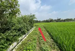 Đất rộng giá hời gần quốc lộ Sóc Sơn, view cánh đồng mát lành... Bán owner_side tại Sóc Sơn, Hà Nội 04