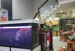 Nhà 5 tầng 4PN tại quận, giá hấp dẫn cần bán gấp... Bán nhà riêng tại An Hội Tây, Hồ Chí Minh 06