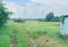 Bán 1450m đất Shr, xuân thới thượng, 3.x... Bán đất tại Bà Điểm, Hồ Chí Minh 03