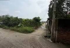 Đất thổ cư mặt đường, sổ đỏ chính chủ, giá hợp lý... Bán đất tại Xuân Cẩm, Bắc Ninh 08