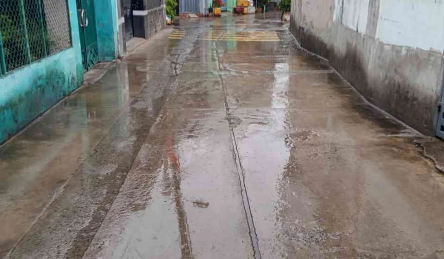 Bán nhà riêng lô góc 110m2 tại Cát Lái, giá 9.5 tỷ giảm 200 triệu... Bán nhà riêng tại Cát Lái, Hồ Chí Minh 01