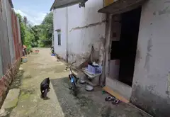 Nhà vườn rộng 420m2 hẻm xe tải giá siêu hấp dẫn... Bán nhà riêng tại Bình Trị Đông, Hồ Chí Minh 03