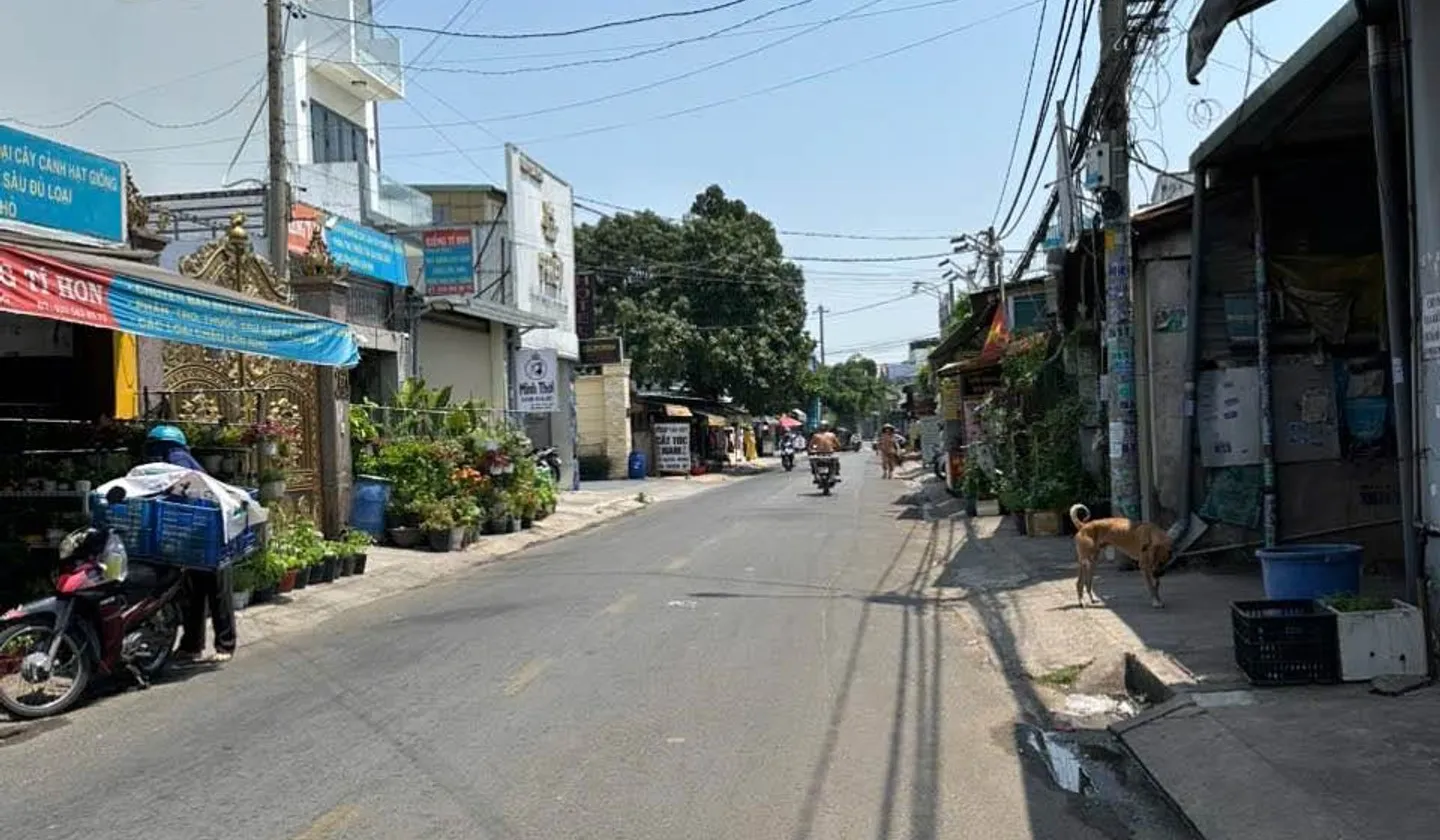 🔥🔥 HÀNG HIẾM MẶT TIỀN NHÀ VUÔNG – SÁT CHỢ ĐẦU MỐI HÓC MÔN! 🔥🔥
💥 3 TẦNG – 4.6 × 29M – GIÁ 10 TỶ... Bán nhà mặt phố tại Bà Điểm, Hồ Chí Minh 01