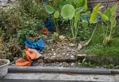 🔥 ĐẤT ĐẸP PHƯƠNG TRẠCH – 76M² FULL THỔ CƯ, NỞ HẬU - Ô TÔ VÀO ĐẤT – SÁT THÁP TÀI CHÍNH 108 TẦNG... Bán đất tại Đông Anh, Hà Nội 04
