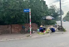 Đất hiếm trục chính ô tô tránh, kinh doanh cực đỉnh... Bán đất tại Thuận An, Hà Nội 02