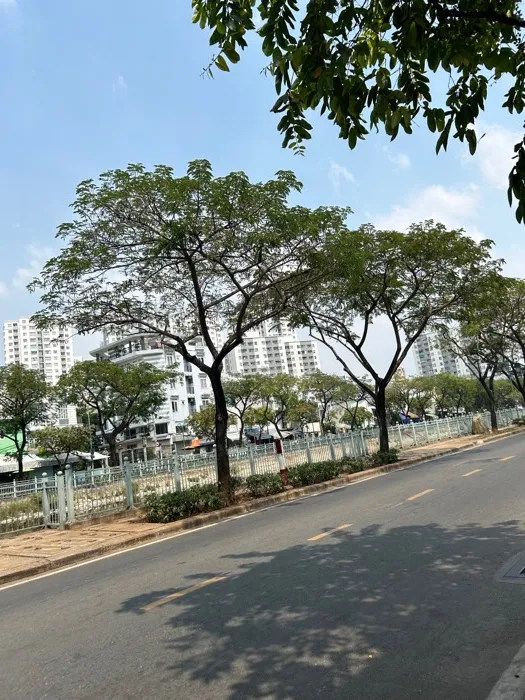 Bán nhà riêng 2 tầng, 5 phòng ngủ rộng rãi tại Quận 6, diện tích 79m²... Bán nhà riêng tại Bình Tiên, Hồ Chí Minh 01