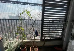 Bán căn hộ 2 phòng ngủ 81m2 tầng cao tại phường Ô Chợ Dừa Hà Nội... Bán căn hộ chung cư tại Ô Chợ Dừa, Hà Nội 10