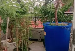 Bán nhà mặt phố khu VIP Tân Bình, 55.8m², giá 13.5 tỷ, mặt tiền 3.6m... Bán nhà mặt phố tại Tân Bình, Hồ Chí Minh 09